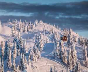 Job Posting: Snowshoe Guide at Mt. Seymour (Part-Time)