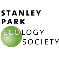 Volunteer Opportunity: Creatures of the Night at Stanley Park Ecology Society in October