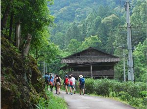 International Study Abroad Opportunity for Forestry Students (CONS 449 & FRST 449): late May-mid July, 4-week courses // Apply by January 15th