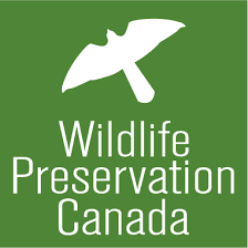 Job Posting: Canada’s New Noah Scholarship (Fully-Funded Field Research Opportunity) with Wildlife Preservation Canada // Deadline November 13th