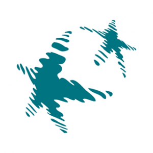 Bamfield Marine Sciences Centre Info Session // February 15th 5:30pm