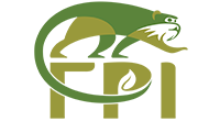 International Research Assistantships and Field Courses with Field Projects International // Various Deadlines