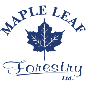Job Posting: Resource/Forest Technologists with Maple Leaf Forestry Ltd