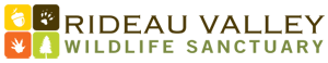 Job Opportunity: Wildlife Rehabilitation Coordinators and Shift Leaders (Ontario)