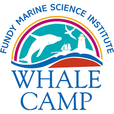 Job Opportunity: Fundy Marine Science Institute Whale Camp Instructor
