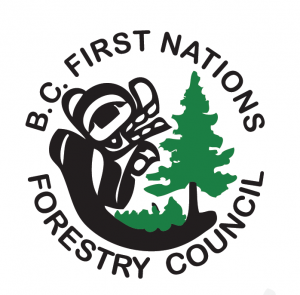 BC Indigenous Forestry Career/Scholarship Opportunities