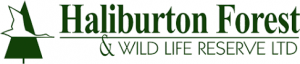 Job Opportunity: Sawmill Employee with Haliburton Forest & Wildlife Reserve (Ontario)