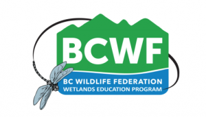 Job Opportunity: Program Internship with BCWF – 2019