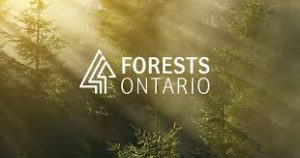 Job Posting: Education Outreach Coordinator with Forests Ontario // November 21st