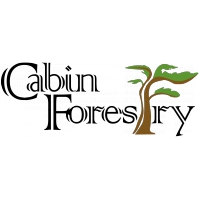 Job Posting: Multiple Positions with Cabin Forestry //