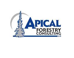 Job Posting: Multiple Positions with Apical Forestry Consulting // Deadline February 20th