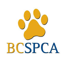 Volunteer Posting: Volunteer with BC SPCA // Deadline April 1st