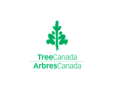 Job Posting: Program Manager with Tree Canada // Deadline March 27th